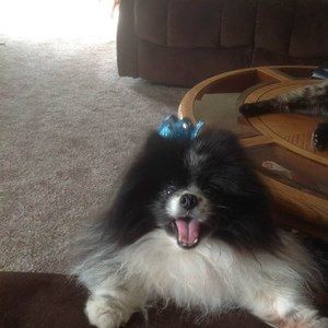 Meet your Posher, Maryann